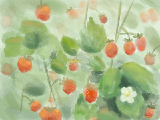 Strawbebbies Strawbebbies