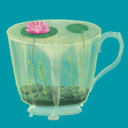 Teacup Lotus Pond A clear glass teacup featuring lilypads and a lotus blossom floating on the surface of an overflowing pond. There are pond rocks and water plants under the surface of the water.
