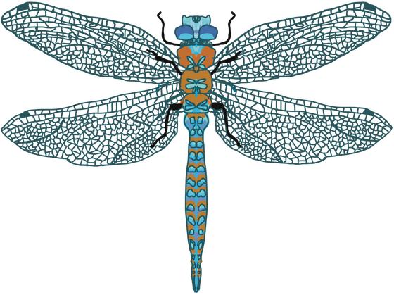 Dragonfly - Commission Example Dragonfly - Commission Example